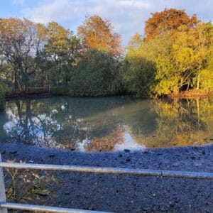 Sheepwash Pond, Mill Hill
