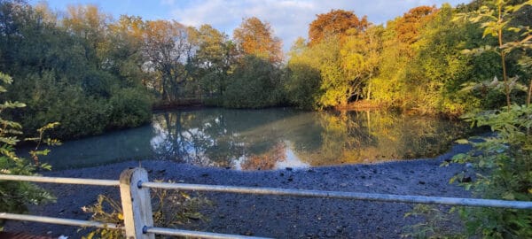 Sheepwash Pond, Mill Hill